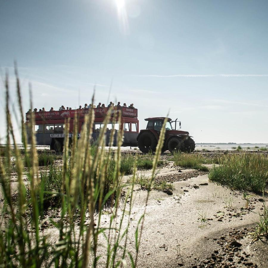 Lustrup Farmhouse Рибе Екстериор снимка